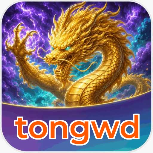 tongwd APK Structure