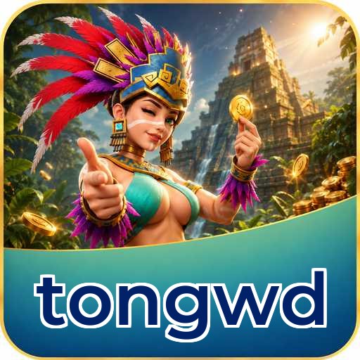 tongwd APK Structure