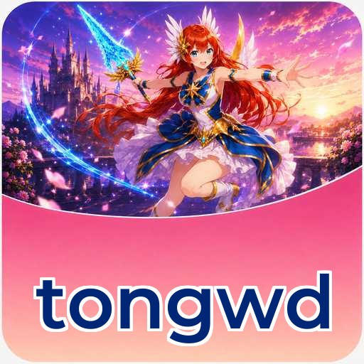 tongwd APK Structure
